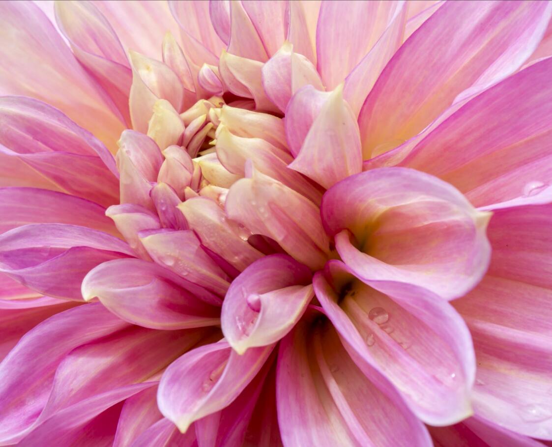 Qq%e6%88%aa%e5%9b%be20161105161308